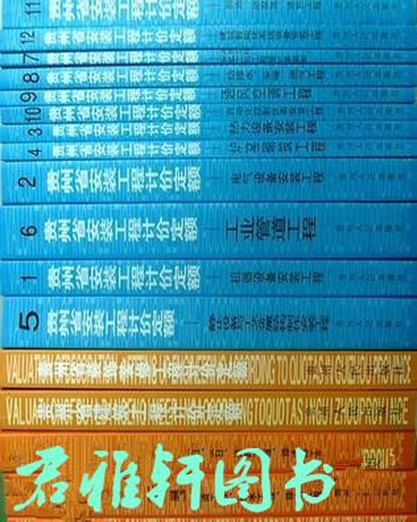 新澳门六2004开奖记录,持久性方案解析_Lite81.924