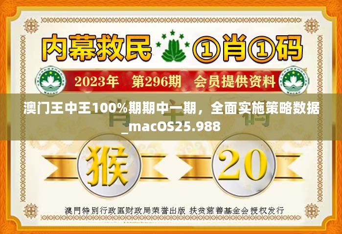 新澳门王中王100%期期中,数据导向实施策略_铂金版18.411