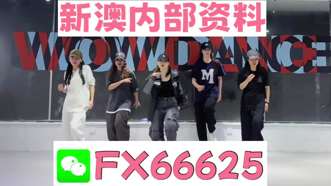 管家婆一码一肖资料免费大全,专业研究解释定义_XE版91.852