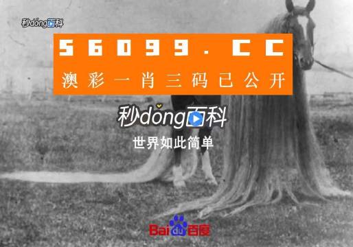 澳门一肖一码一必中一肖,创新计划执行_3D50.600