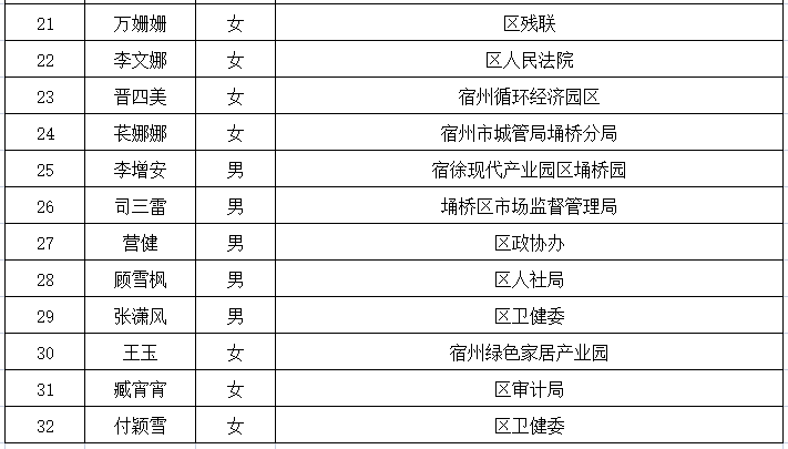 流星追影