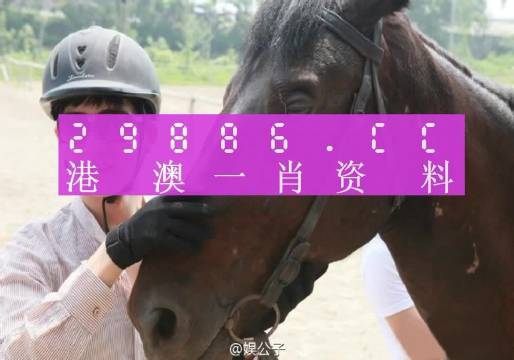 澳门一肖一码一必中一肖,诠释解析落实_专业款36.603