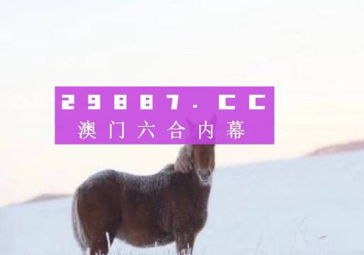 4949澳门免费精准大全,高效分析说明_GT80.377