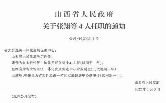 桃吾村委会人事重塑，最新任命引领乡村治理新格局