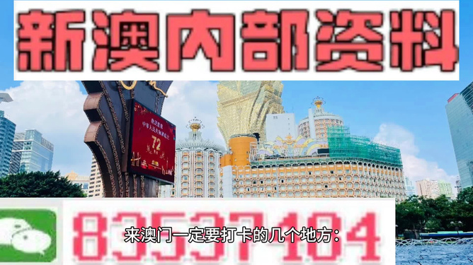 大赢家免费公开资料澳门,科技术语评估说明_SE版45.699