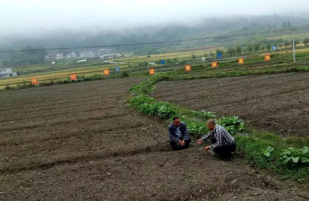 坪雾村新项目，乡村振兴新引擎启动