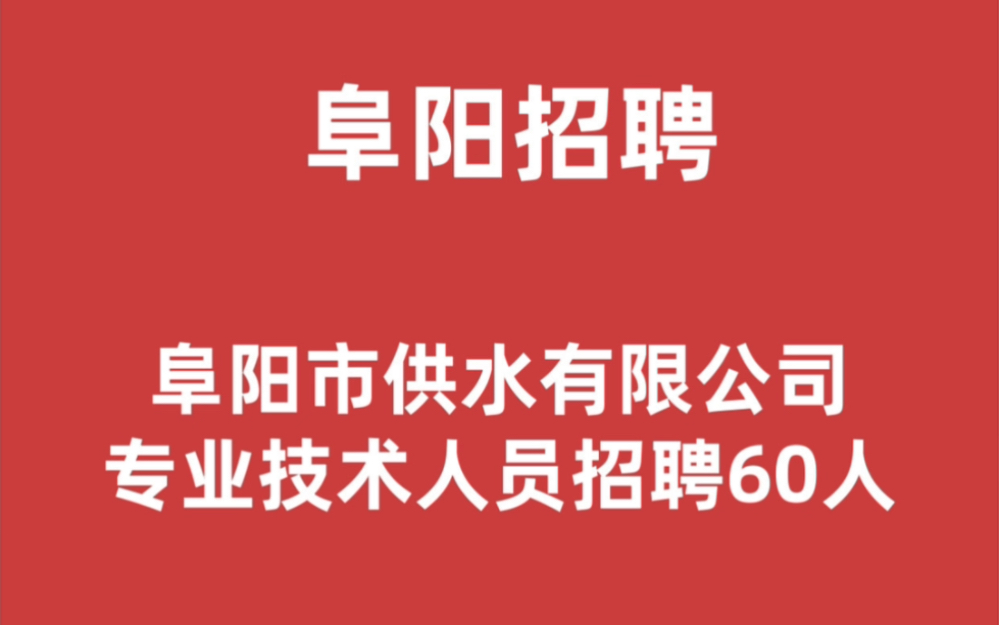 阜阳市市政管理局最新招聘公告概览