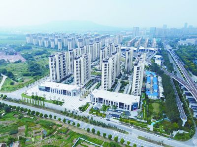 湛江市房产管理局最新项目概览概览与动态