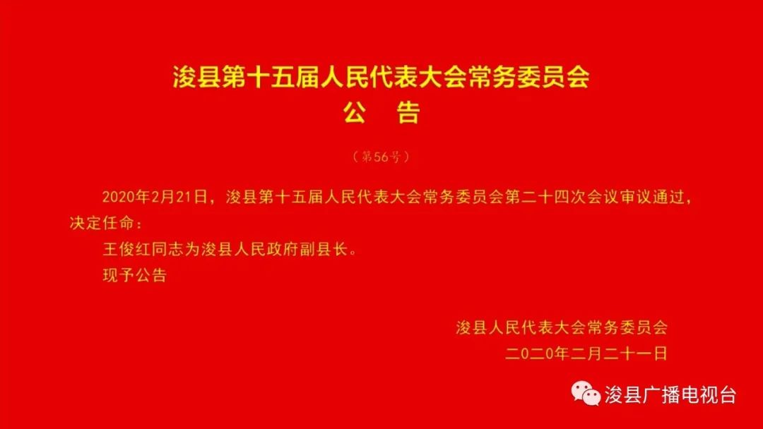 民权县人民政府办公室人事任命，县域发展新篇章启航