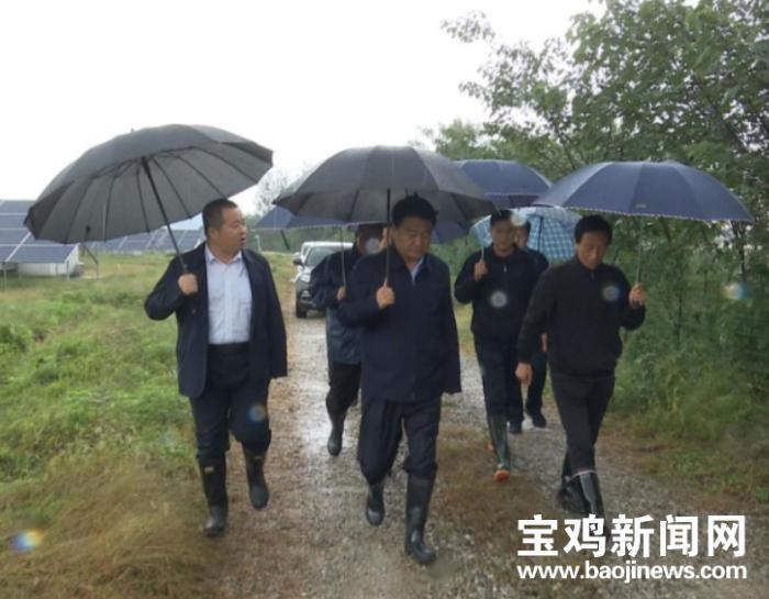 迎河镇交通建设蓬勃发展，最新交通新闻综述