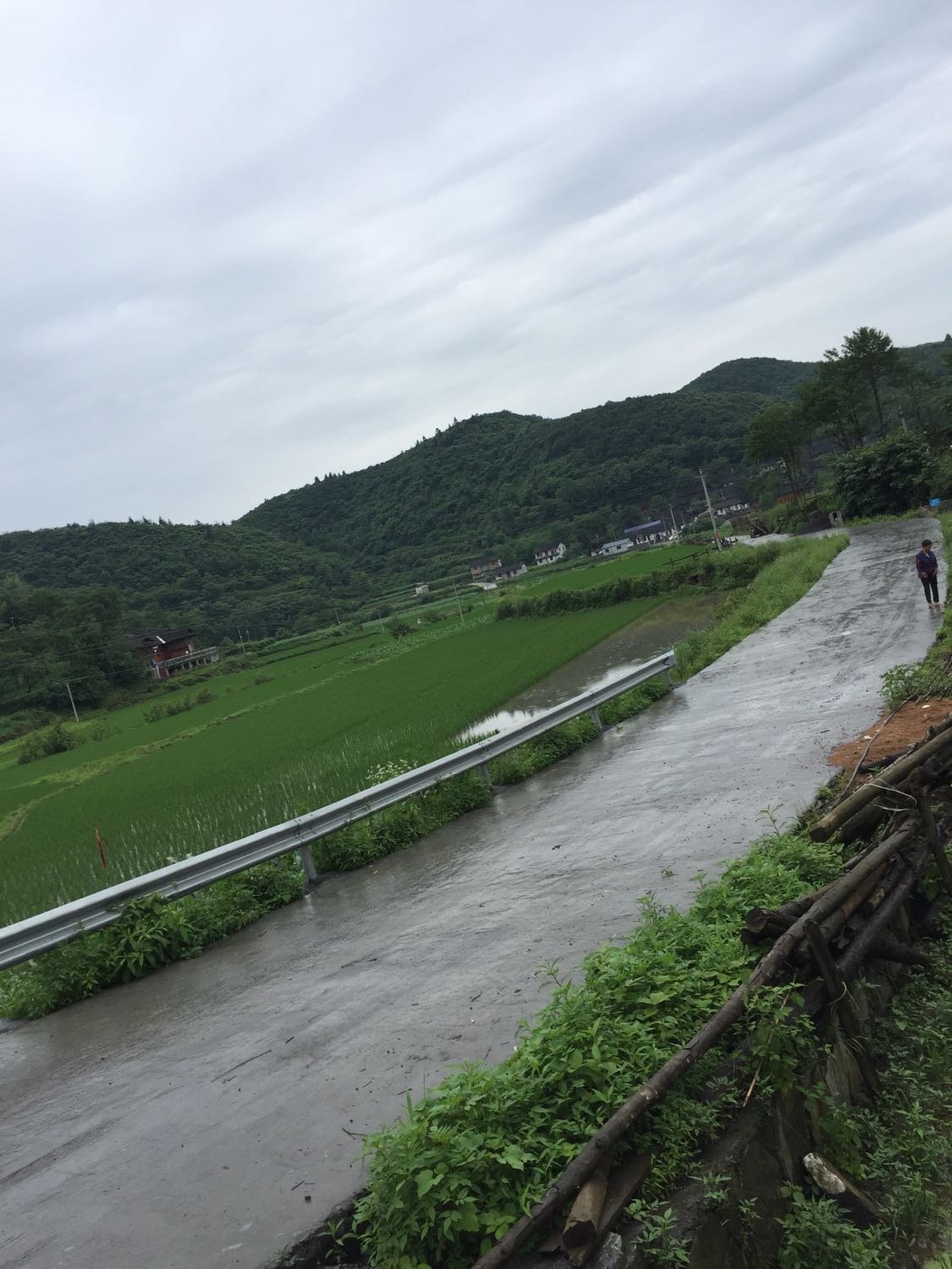 小山坪村委会天气预报与应对建议