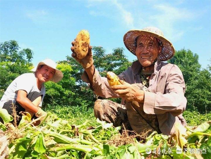 玉带社区交通优化升级，提升居民出行体验，最新交通动态报道