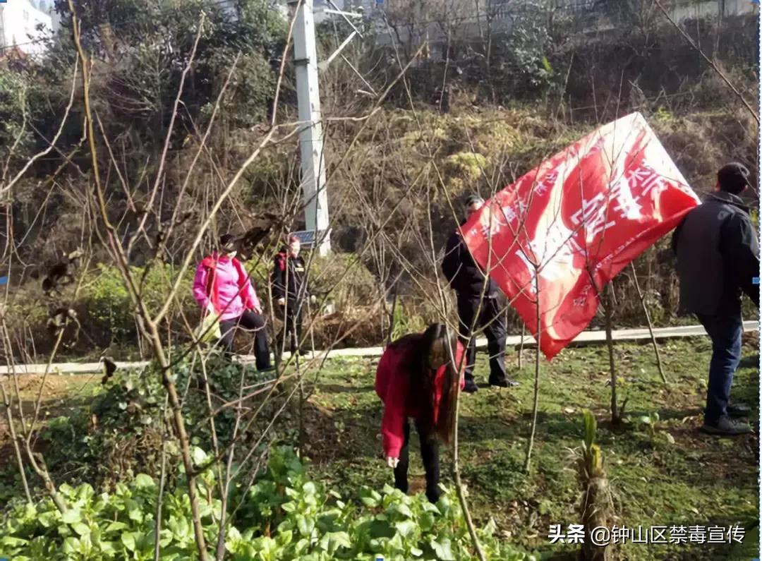 建设路社区最新资讯