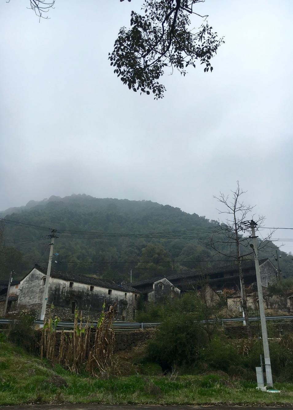 小溪镇天气预报更新通知