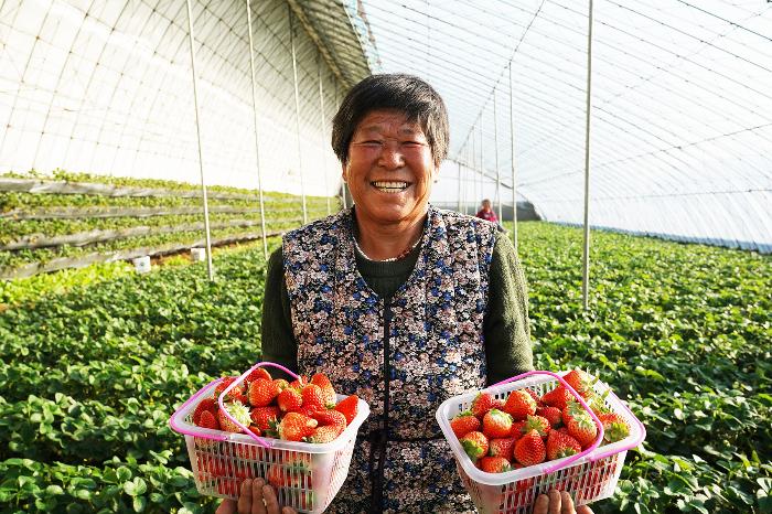 2025年2月9日 第4页