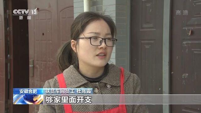 长丰县人民政府办公室最新招聘通告概览