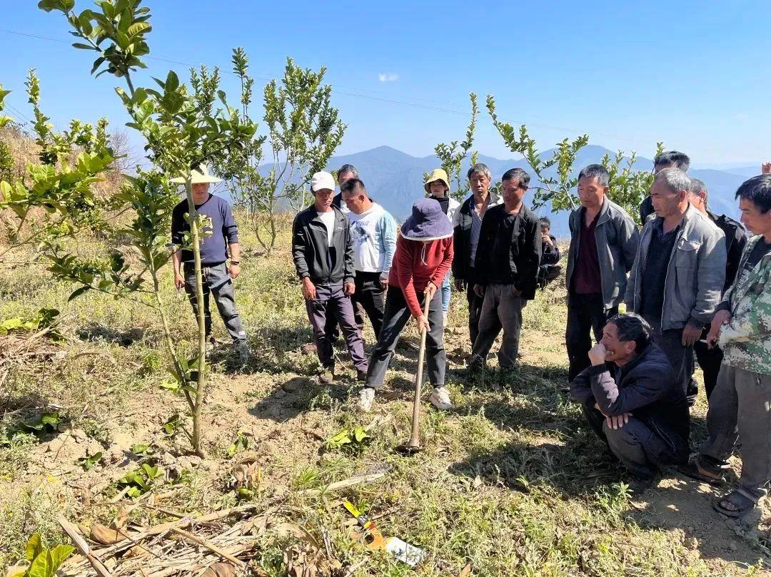 圈内乡领导团队全新组建及领导风采